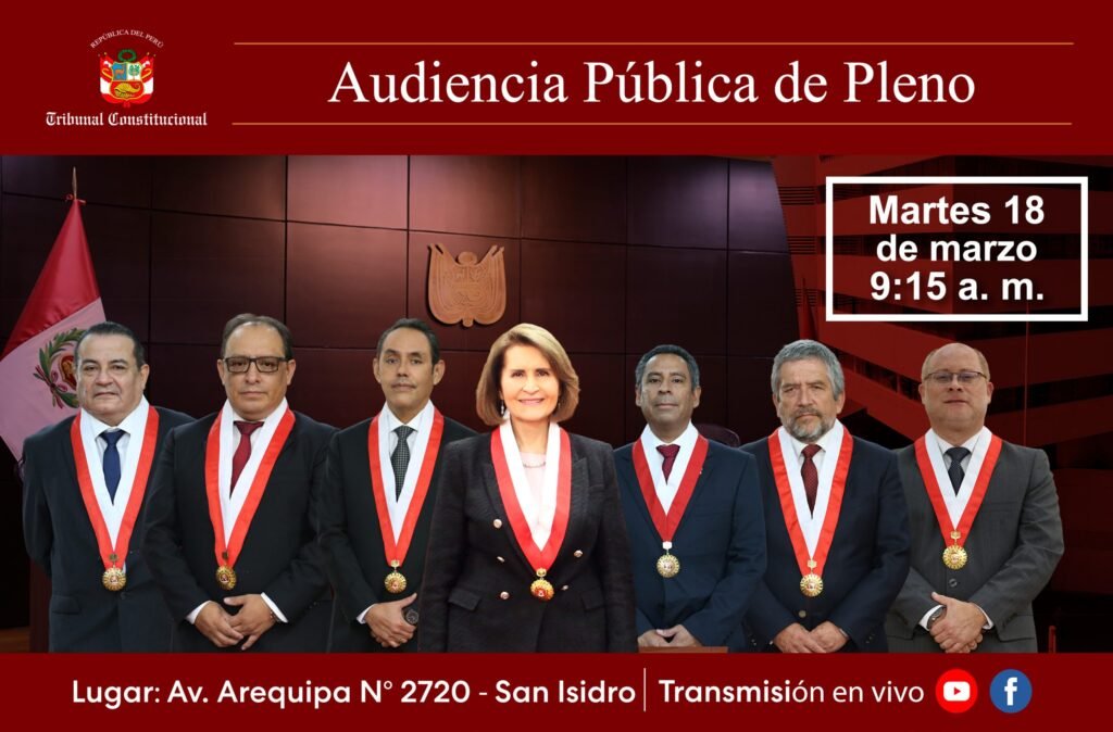 el proximo martes 18 de marzo se desarrollara la audiencia publica del pleno scaled