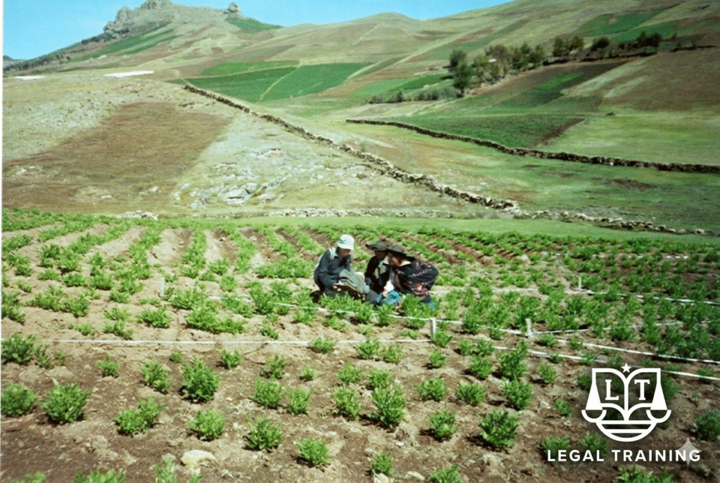 ¡EXCLUSIVO! El último zarpazo legislativo del régimen de Jerí: Se reglamenta la polémica Ley de Transformación Agraria en medio del ocaso político. gemini generated image di9j8idi9j8idi9j